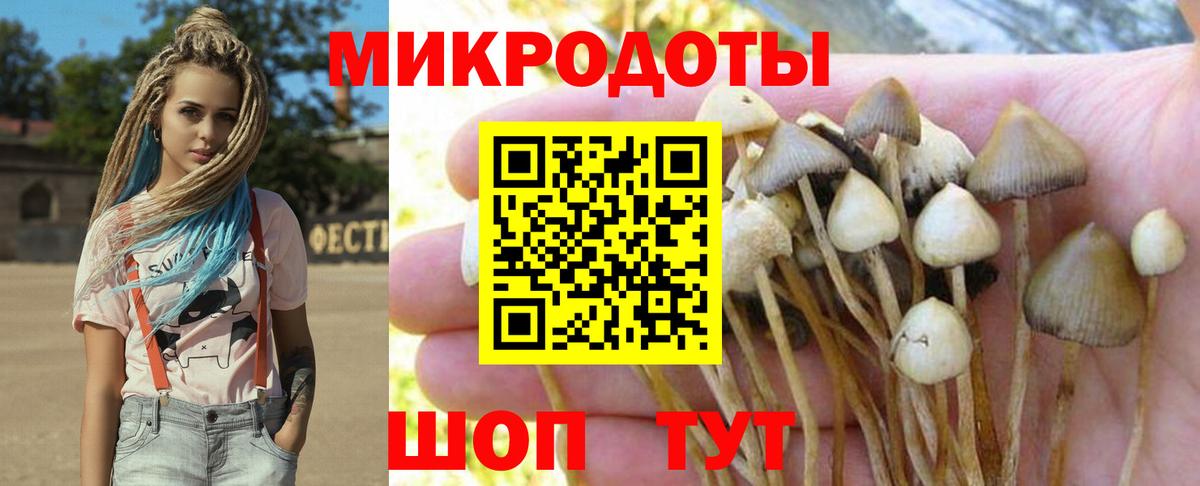 Галлюциногенные грибы MAGIC MUSHROOMS Каспийск